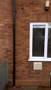 Efflorescence second project after work